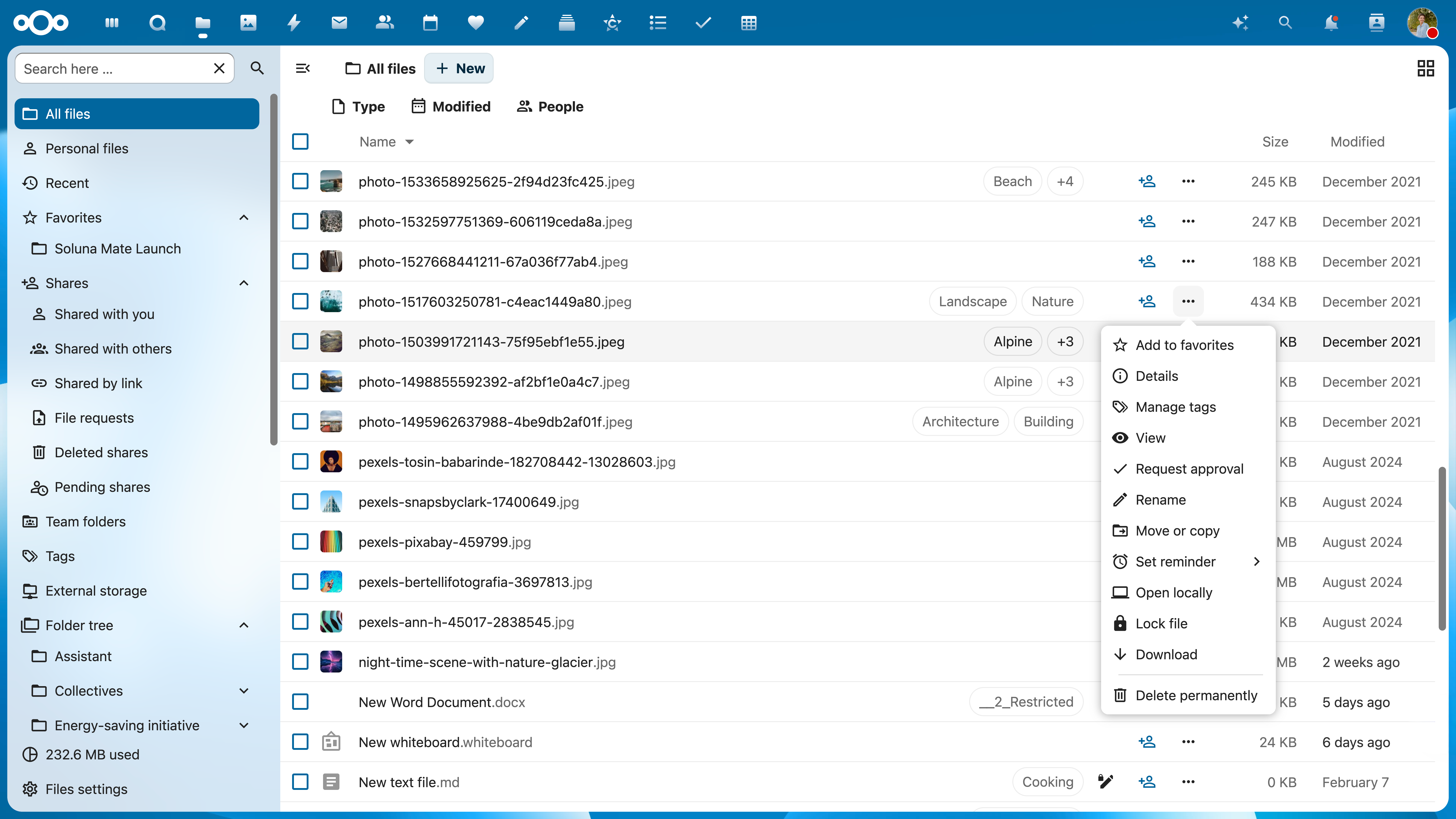 Nextcloud Files Manage Tags (Web)